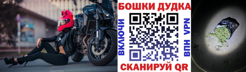 Бошки Шишки семена  закладки  Камбарка 